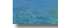 sunshine coast real estate
