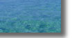 sunshine coast real estate