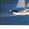 whitsundays islands