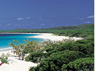whitsundays holidays
