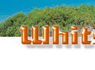 whitsundays holidays
