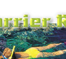 snorkelling at the reef
