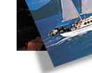 sailing whitsundays