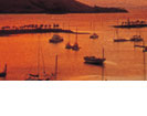 sailing whitsundays