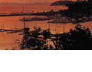 sailing whitsundays