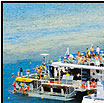 Reef pontoon