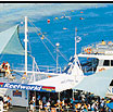 Reef pontoon