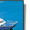 Reef pontoon