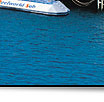 Reef pontoon