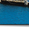 Reef pontoon