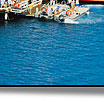 Reef pontoon