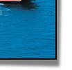 Reef pontoon