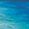 snorkeling in whitsundays