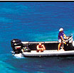 snorkeling in whitsundays