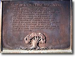 tree of knowledge plaque barcaldine